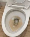 Dishwasher Detergent & Toilet Bowl Cleaner Kit Secondary image
