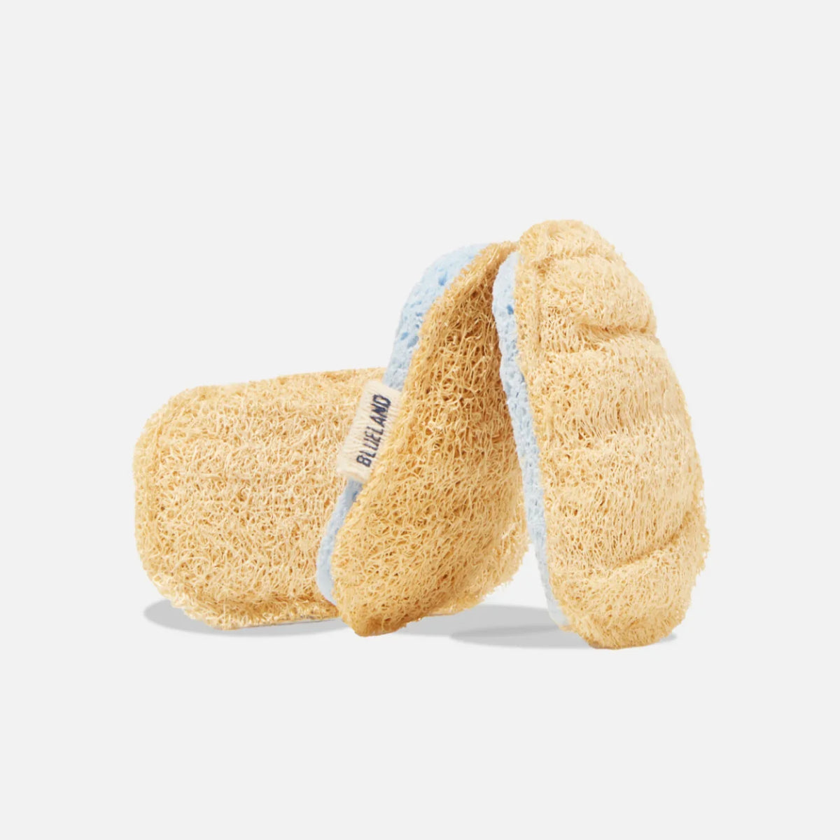 Scrub Sponge Main image