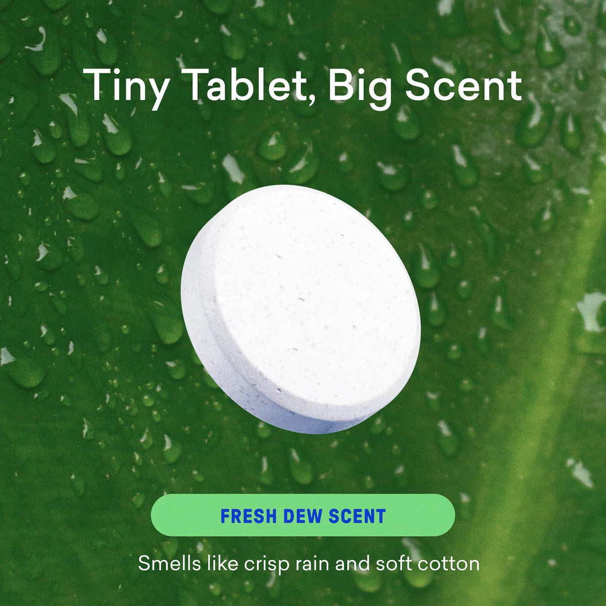 Glass + Mirror Cleaner Starter Set